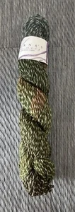 LORNA’S LACES Swirl DK Color#609-Fiddlehead 150yds/2oz Merino & Silk - Picture 1 of 6