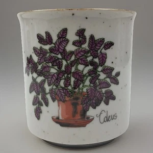 Vtg Japan Coleus Speckled Pottery Mini Planter Pot 3 1/2” Care Info On Back - Picture 1 of 6