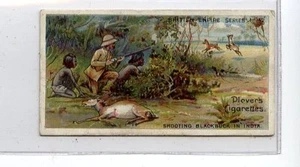 (Jd5433) PLAYERS,BRITISH EMPIRE SERIES,SHOOTING BLACKBUCK IN INDIA,1904,#42 - Picture 1 of 2