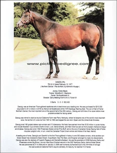 Racehorse DANZIG photo picture with biography 11x8 - Picture 1 of 1