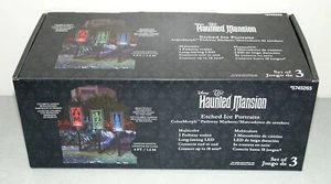 Nuovo!! HAUNTED MANSION Disney LED "3- Ritratti di Ghiaccio Inciso" LUCI SEGNAPISTA - Foto 1 di 2