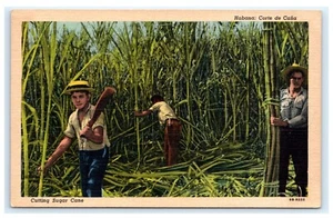Postal Habana Corte de Cana Corte Caña de Azúcar Cuba F8 - Imagen 1 de 2