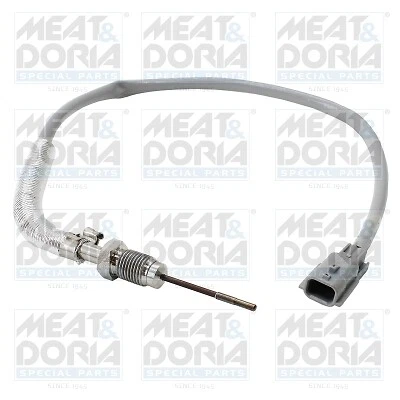 Sensore temperatura gas di scarico MEAT & DORIA per RENAULT TRAFIC III Bus JG 2.0 dCi 145 - Immagine 1 di 1