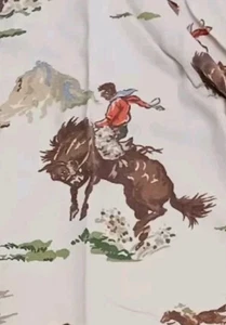 Camisa Vaquera Eddie Bauer - Vaquera Western Rodeo Deportista Azteca Suroeste XS - Imagen 1 de 13