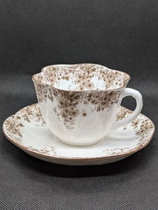 Shelley zierliche dunkelbraune Gänseblümchen Tasse & Untertasse Vintage Fine Bone China England - Bild 1 von 8