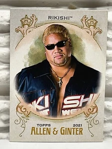 2021 Allen & Ginter Rikishi Topps Heritage WWE Wrestling Card #AG-17 - Picture 1 of 2