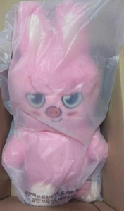 Muñeco de peluche Stray Kids Skzoo DWAEKKI Changbin 60 cm Teddy Ver SKZ 5’ reloj oficial - Imagen 1 de 2