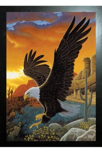 AQUILA VOLANTE CON CORNICE NERA - STAMPA IMMAGINE 3D 325mm x 425mm - Foto 1 di 2