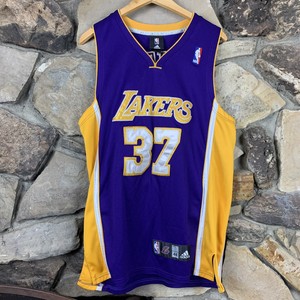 metta world peace jersey