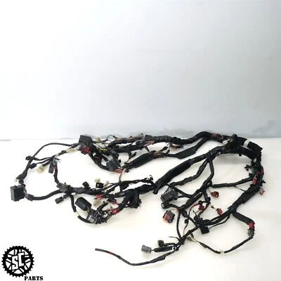 Kawasaki Ninja ZX10RR 2018 arnés de cableado principal Foto 1 de 4