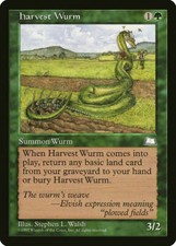 Harvest Wurm  x4 Weatherlight MtG NM