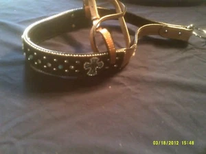 Nasenriemen Show Style Haar auf Fell braun mit türkis Kreuz Mitte Concho - Bild 1 von 3