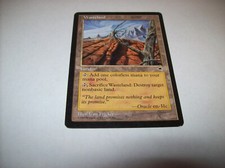 WASTELAND MAGIC THE GATHERING UNCOMMON HP TEMPEST FREE SHIPPING WITH TRACKING
