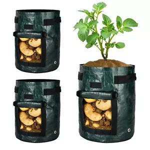 7 Gallon 3 Pack Potato Grow Bag Thick PE Fabric Planter Pots for Vegetable Green - Picture 1 of 6