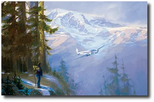 Rainier Encounter by Jack Fellows - Boeing Modell 247 Limited Edition - Bild 1 von 1