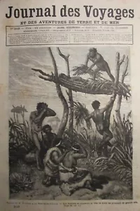 TRAVEL JOURNAL N° 319 of 1883 CUSTOMS NEW GUINEA / TONKIN HANOI PAGODA - Picture 1 of 2