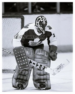 NHL Toronto Maple Leafs Goalie Michel Bunny Larocque 8 x 10 Foto Bild  - Bild 1 von 1