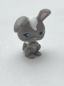 BUNNY RABBIT #14 - Littlest Pet Shop - Hasbro LPS - Imagen 1 de 5