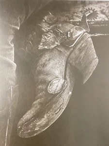 Dallas Times Herald 1980 Cowboy Boot Print Black and White Print Notes 22x18 VRG - Picture 1 of 10