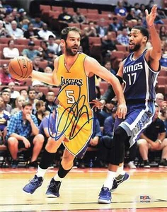 Jose Calderon signed 8x10 photo PSA/DNA Los Angeles Lakers Autographed - Picture 1 of 1