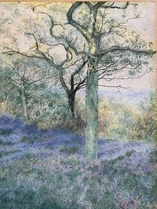 Manner / Circle of - Helen Allingham - Spring in the Oakwood (V of) Early 20th C - Picture 1 of 24
