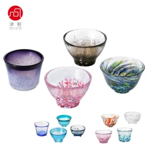 Tsugaru Vidro Sake Tasse Set Begleitungen / Meer / Vier Jahreszeiten Glas JAPAN NEU - Bild 1 von 75