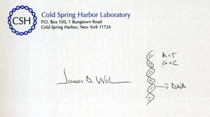 JAMES D WATSON Signed Compliments Slip - Nobel Scientists (DNA) 6"x4" reprint - Foto 1 di 1