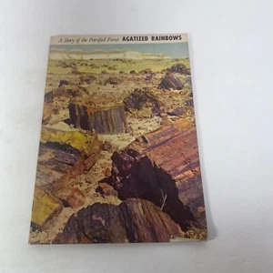 1951 Petrified Forest Agatized Rainbows Story Vintage Travel Booklet As Is - Picture 1 of 12