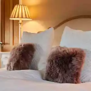 Bowron Single Sided Sheepskin Cushion, 35 x 35cm in Paco - Picture 1 of 4