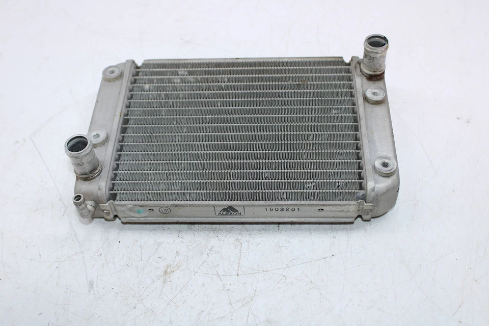 Ski-Doo Skandic 600 SWT HO E-TEC 2012 radiador radiador radiador de refrigeración 509000756 Foto 1 de 4