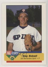 1994 Fleer ProCards Minor League Greg Bicknell #2750