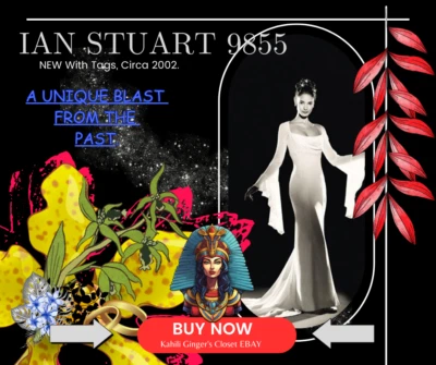 Ian Stuart 9855 婚礼礼服 12 码(Circa 2002)全新带标签/从未穿过  — 第 1/4 张图片