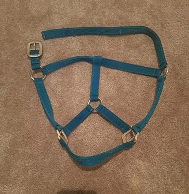 Horse Size Teal Nylon Halter with Gold  - Image 1 of 2