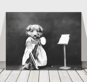 CUTE VINTAGE B&W Dog Dressed Up With Violin - CANVAS ART PRINT POSTER - 36x24" - Picture 1 of 1