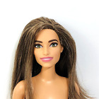 Nude Hybrid Barbie Doll Curvy Fashionistas Body New MTM Head Face Sculpt