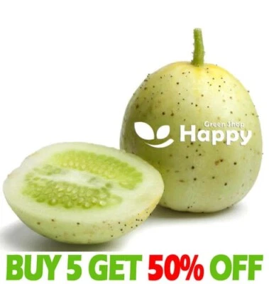 VEGETABLE SEEDS CUCUMBER - CRYSTAL APPLE - 20 seeds - Heirloom - Cucumis sativus - Image 1 of 4