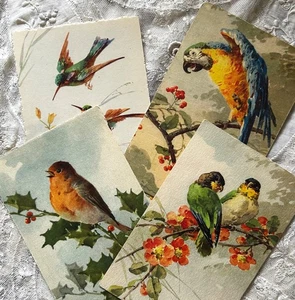 4 Catherine Klein Vintage Bird Postcards Unused Switzerland Parrots Song - Picture 1 of 5