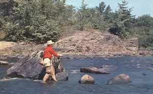 Saludos desde Tabusintac New Brunswick Sh! Postal de Fish Coming My Way Canadá - Imagen 1 de 2