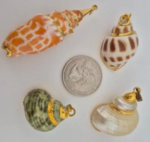 Four Gilded Shell Pendants of Varying Shapes and Sizes - Picture 1 of 2