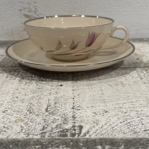 Juego de platillos taza café/té FRANCISCAN CARMEL - USADO EN EXCELENTE ESTADO - precio por juego - Imagen 1 de 7