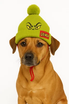 THE GRINCH DR SEUSS Grinch Dog Cat Pet Knit Hat Beanie Christmas M/L New Costume Warm w/Ear Holes