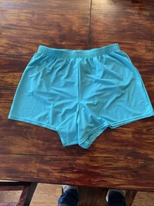 Blair Turquoise Swim Shorts Womens Pull-On Size 14 - Picture 1 of 10