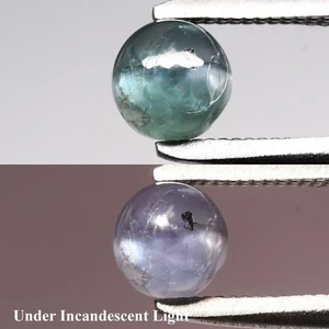 💎 0.89ct Round Cabochon Natural Green Cat's Eye Alexandrite - Russia Gemstone - Picture 1 of 6