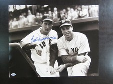Ted Williams Autograph Signed 16 x 20 Photo PSA/DNA  Boston Red Sox