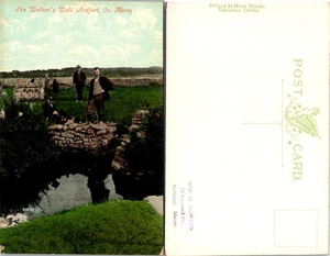 Historic Postcard of Ardfergt, County Kerry, Ireland - Wethers Well Scene - Picture 1 of 1