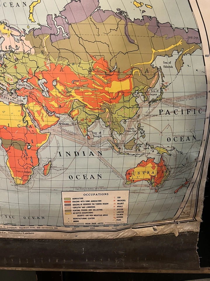Atwood / Nystrom school pull down wall map - Australia & East Asia - Image 1 of 2