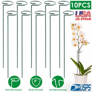 10pcs 10/16in Plant Support Stakes Garden Flower Single Stem Support Stake Iron - Picture 1 of 13
