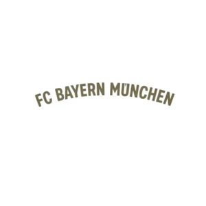 OFFICIAL FC BAYERN MUNCHEN 125 Anniversary Print - Picture 1 of 6