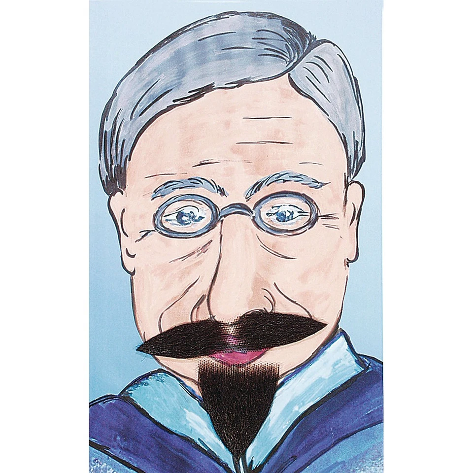 Profi Spitzbart Musketierbart Falscher Musketier Bart Kinnbart Echthaar schwarz - Bild 1 von 1