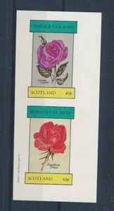 D428280 Bernera Island MNH coppia fiori rosa imperforata - Foto 1 di 1
